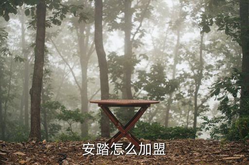 體育用品加盟哪個品牌好,大為蘇州體育用品 是代理哪個品牌