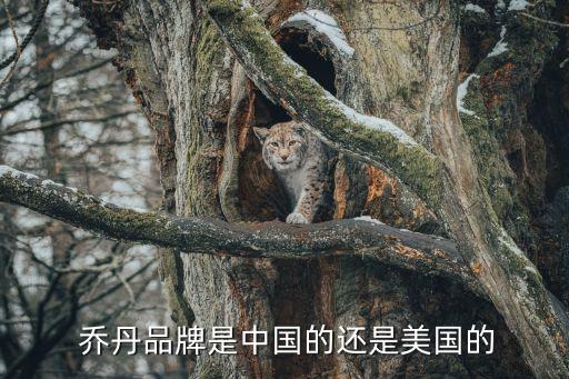  喬丹品牌是中國的還是美國的