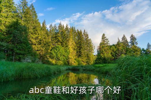 abc童鞋和好孩子哪個好
