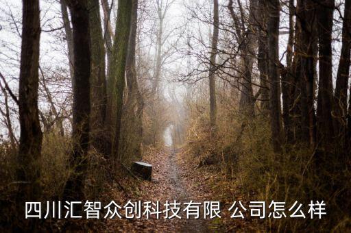 四川匯智眾創(chuàng)科技有限 公司怎么樣