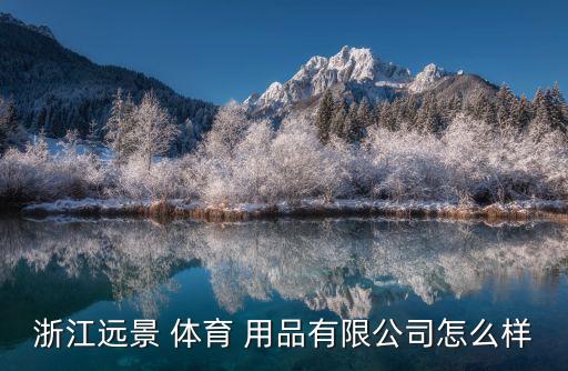 浙江遠(yuǎn)景 體育 用品有限公司怎么樣