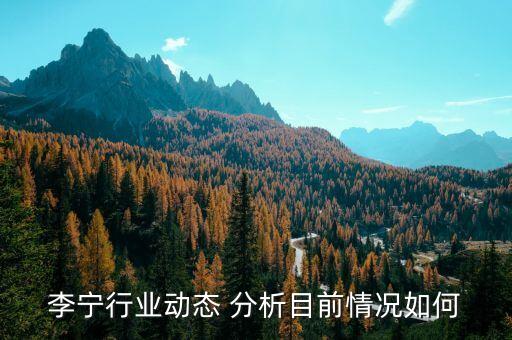 李寧行業(yè)動態(tài) 分析目前情況如何