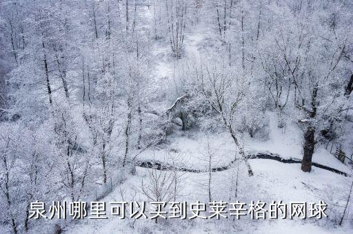  泉州哪里可以買到史萊辛格的網(wǎng)球