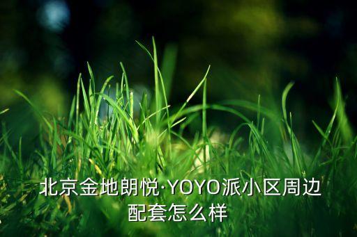  北京金地朗悅·YOYO派小區(qū)周邊配套怎么樣