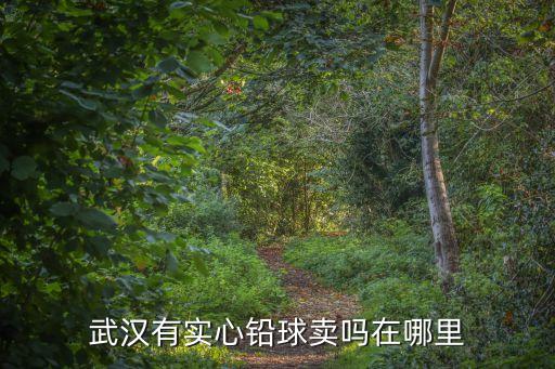 武漢有實心鉛球賣嗎在哪里