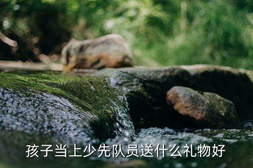 孩子當上少先隊員送什么禮物好