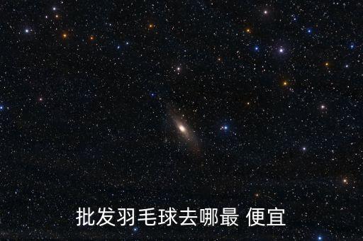 批發(fā)羽毛球去哪最 便宜