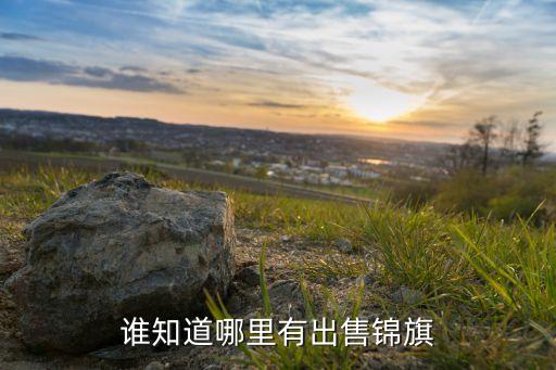 杭錦旗體育用品批發(fā),哈爾濱體育用品批發(fā)一條街