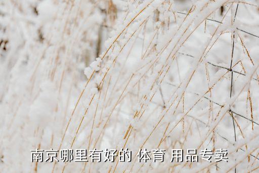 南京哪里有好的 體育 用品專賣(mài)
