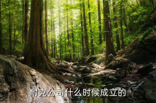 耐克公司什么時(shí)候成立的