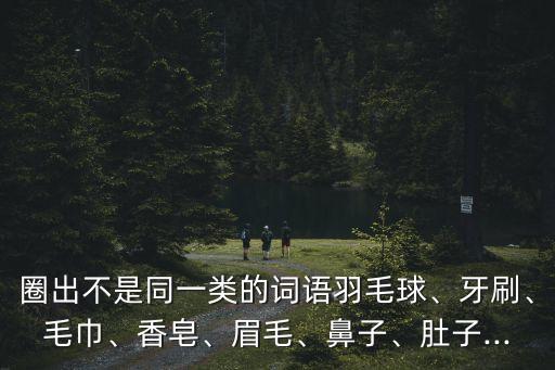 圈出不是同一類的詞語羽毛球、牙刷、毛巾、香皂、眉毛、鼻子、肚子...