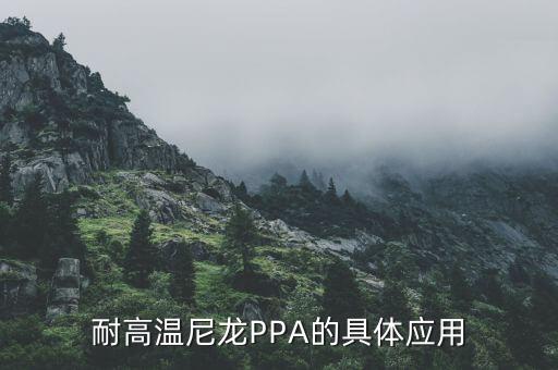 鍍噸體育用品,體育用品創(chuàng)業(yè)計(jì)劃書
