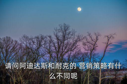 請(qǐng)問(wèn)阿迪達(dá)斯和耐克的 營(yíng)銷(xiāo)策略有什么不同呢