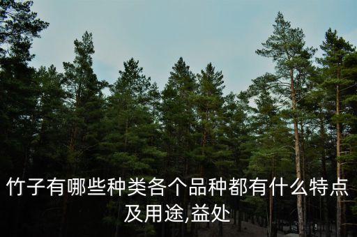 竹子有哪些種類各個品種都有什么特點及用途,益處