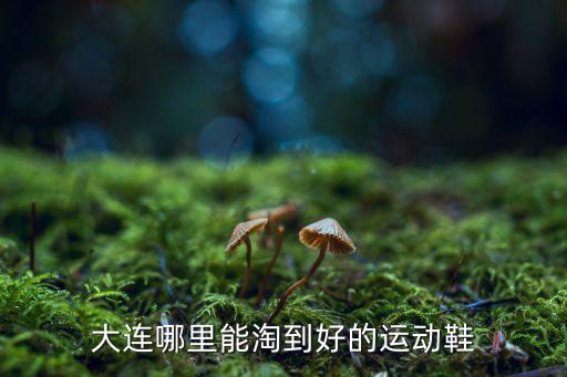 大連哪里能淘到好的運(yùn)動鞋