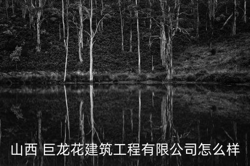巨龍?bào)w育用品