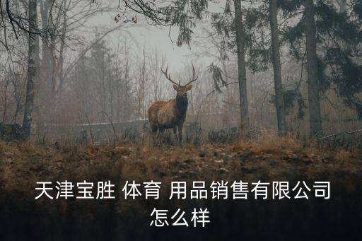  天津?qū)殑?體育 用品銷售有限公司怎么樣