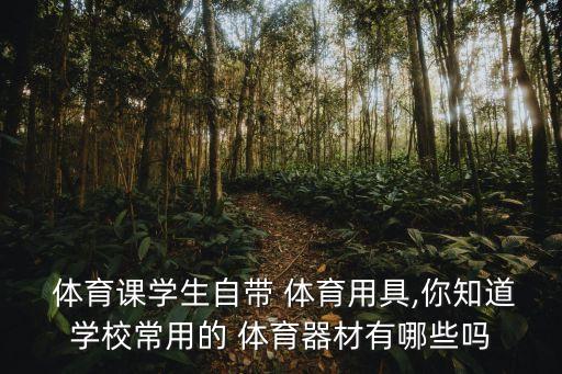  體育課學(xué)生自帶 體育用具,你知道學(xué)校常用的 體育器材有哪些嗎