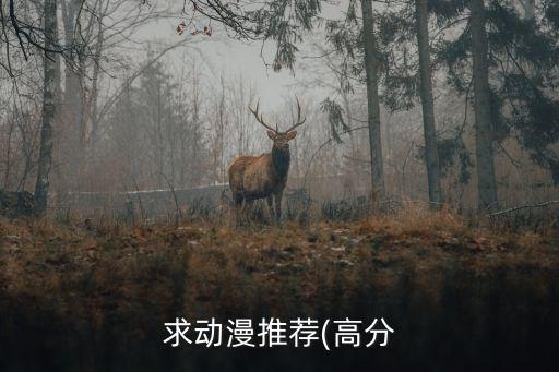 體育用品動(dòng)畫(huà)片