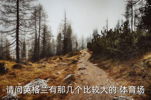 請(qǐng)問英格蘭有那幾個(gè)比較大的 體育場(chǎng)