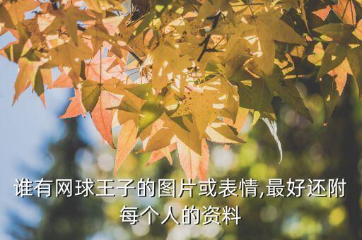 誰(shuí)有網(wǎng)球王子的圖片或表情,最好還附每個(gè)人的資料