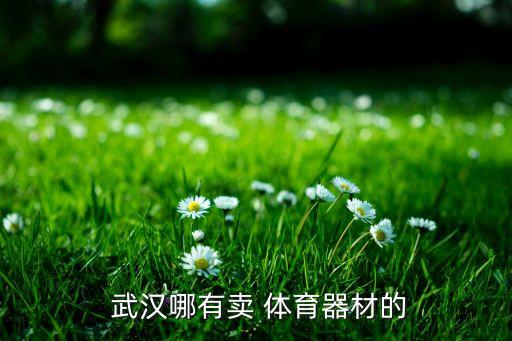  武漢哪有賣(mài) 體育器材的