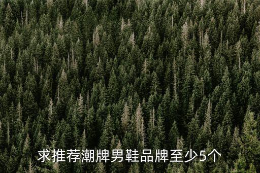 求推薦潮牌男鞋品牌至少5個