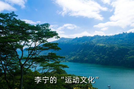 李寧的“運動文化”