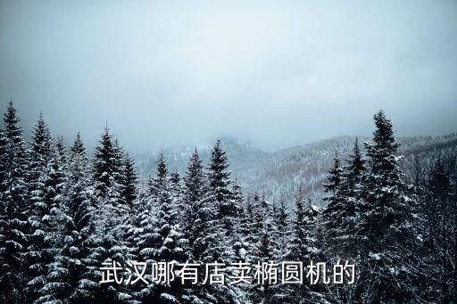 武漢哪有店賣橢圓機(jī)的