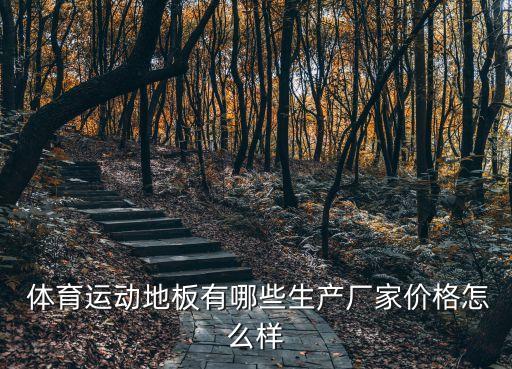  體育運(yùn)動(dòng)地板有哪些生產(chǎn)廠家價(jià)格怎么樣