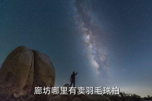  廊坊哪里有賣(mài)羽毛球拍