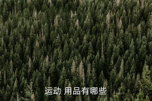 全速體育用品有什么,體育用品公司叫什么名字好