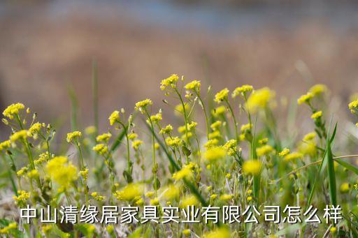 中山清緣居家具實業(yè)有限公司怎么樣