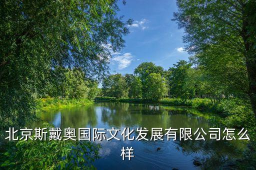 北京斯戴奧國(guó)際文化發(fā)展有限公司怎么樣