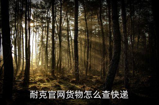 耐克官網(wǎng)貨物怎么查快遞