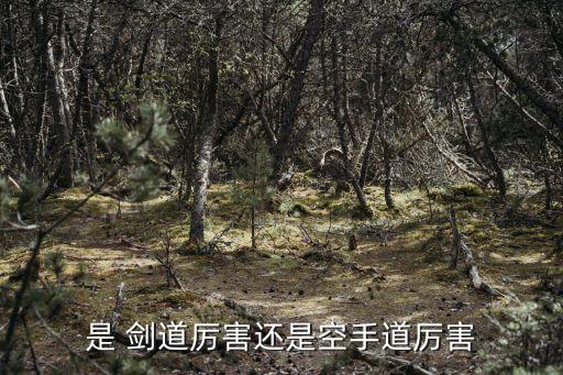 是 劍道厲害還是空手道厲害