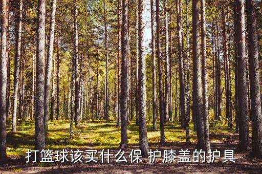 打籃球該買什么保 護膝蓋的護具