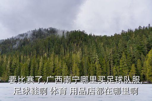 要比賽了,廣西南寧哪里買足球隊(duì)服,足球鞋啊 體育 用品店都在哪里啊