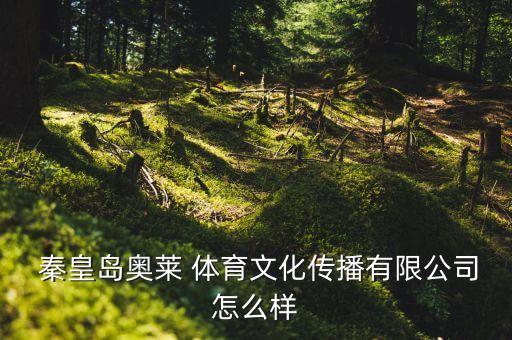  秦皇島奧萊 體育文化傳播有限公司怎么樣
