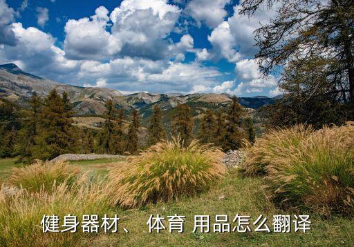 健身器材、 體育 用品怎么翻譯