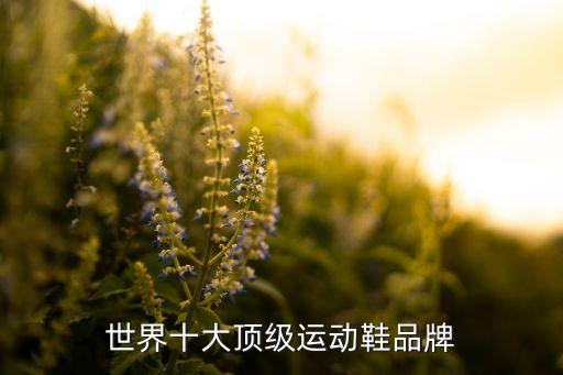 世界十大頂級(jí)運(yùn)動(dòng)鞋品牌