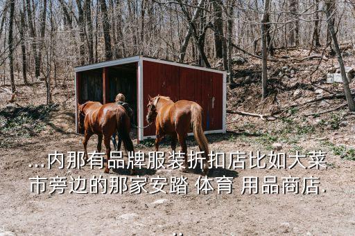...內(nèi)那有品牌服裝折扣店比如大菜市旁邊的那家安踏 體育 用品商店...