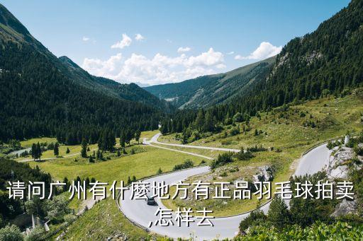 請問廣州有什麼地方有正品羽毛球拍賣,怎樣去