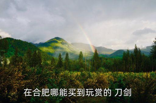在合肥哪能買(mǎi)到玩賞的 刀劍