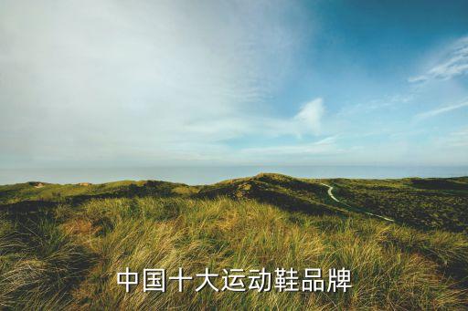 中國十大運動鞋品牌