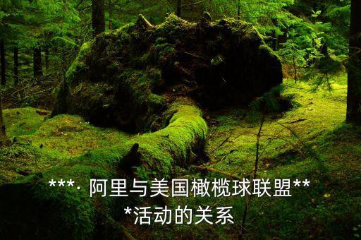 ***· 阿里與美國(guó)橄欖球聯(lián)盟***活動(dòng)的關(guān)系
