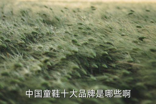 中國(guó)童鞋十大品牌是哪些啊