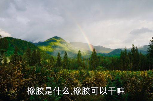 梅州耐高溫體育用品硅膠