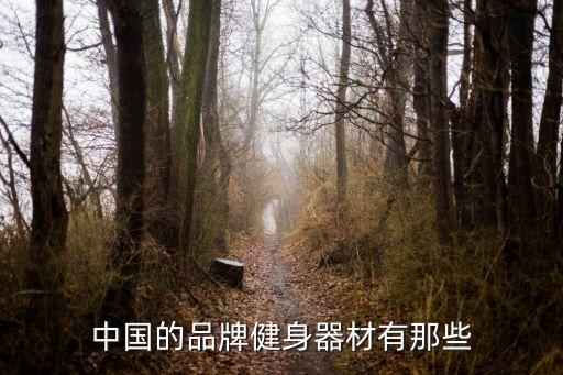 中國的品牌健身器材有那些