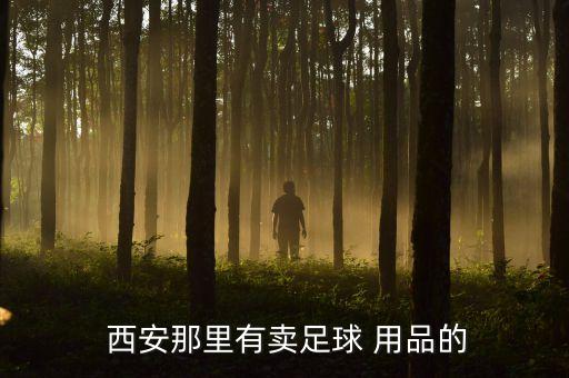 西安體育場體育用品招司機